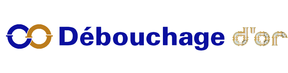 Debouchage Logo